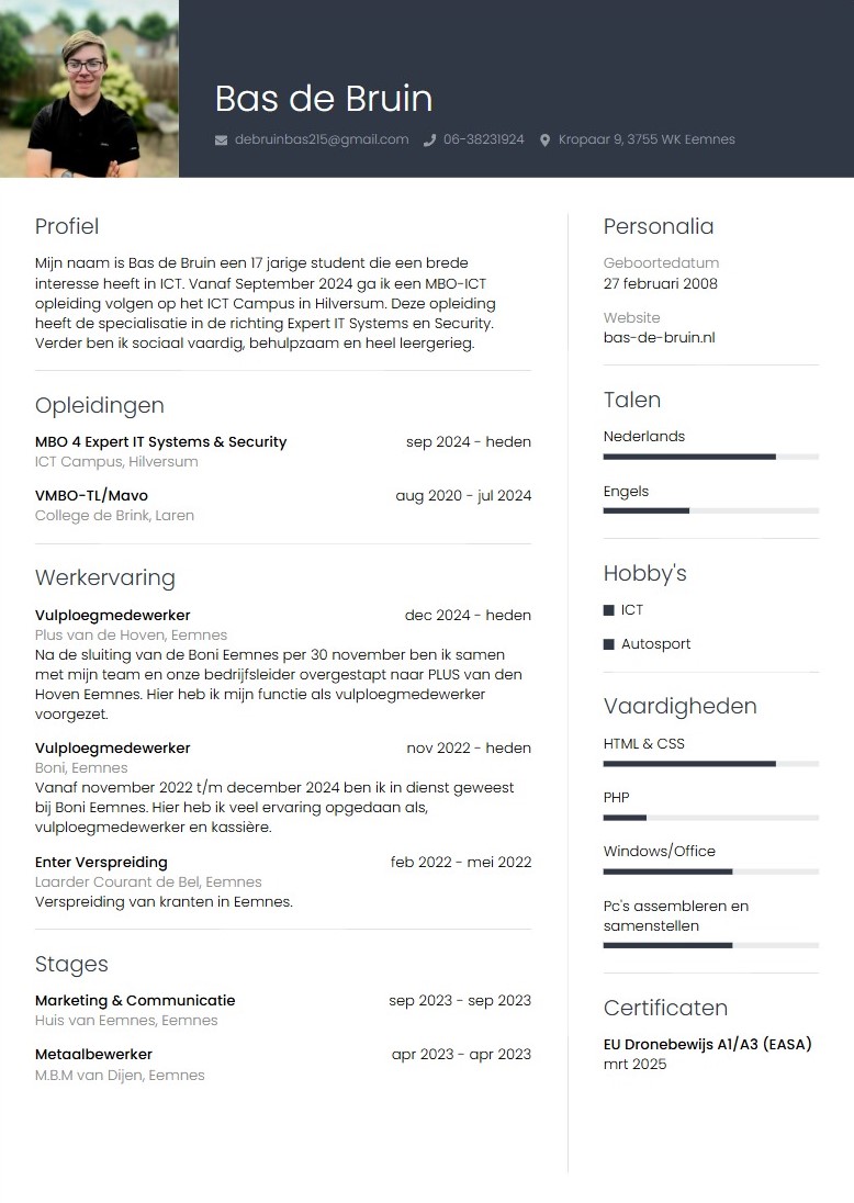 Bas de Bruin CV
