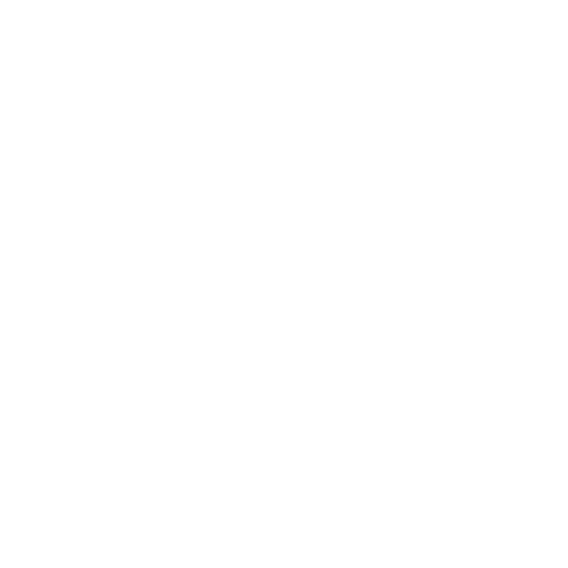 Bas de Bruin logo